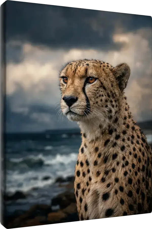Leinwand Kunstdruck | Wildlife