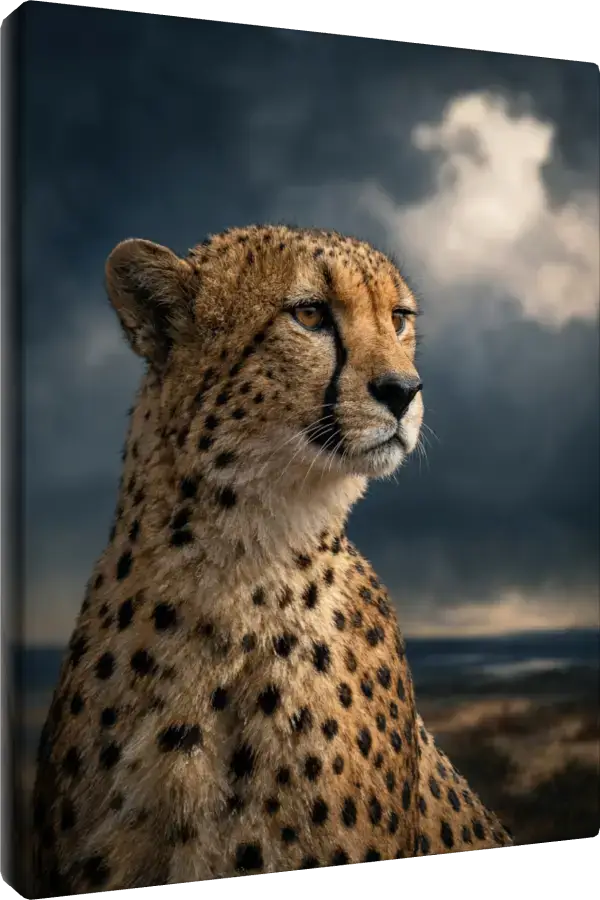 Leinwand Kunstdruck | Wildlife