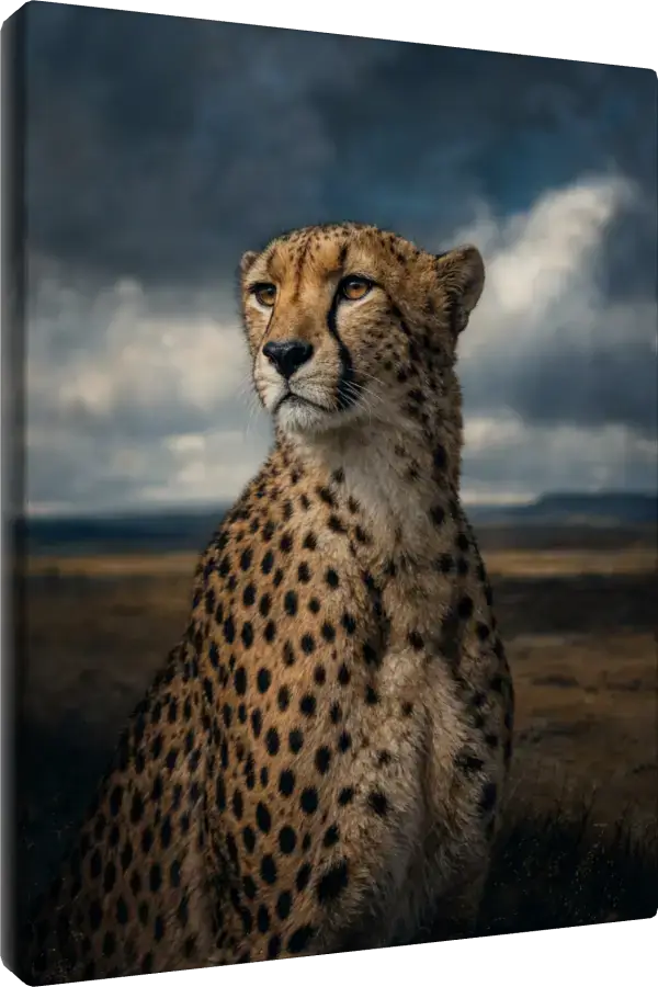 Leinwand Kunstdruck | Wildlife