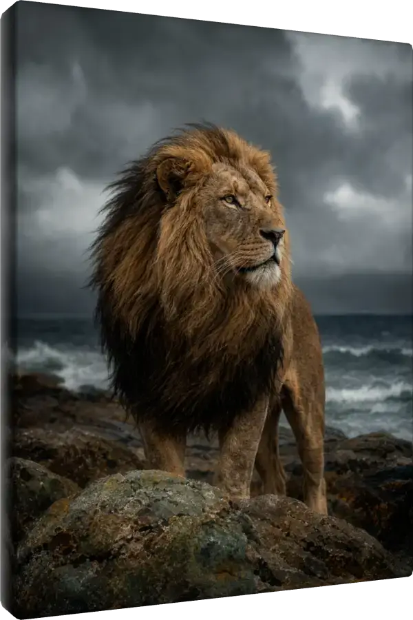 Leinwand Kunstdruck | Wildlife
