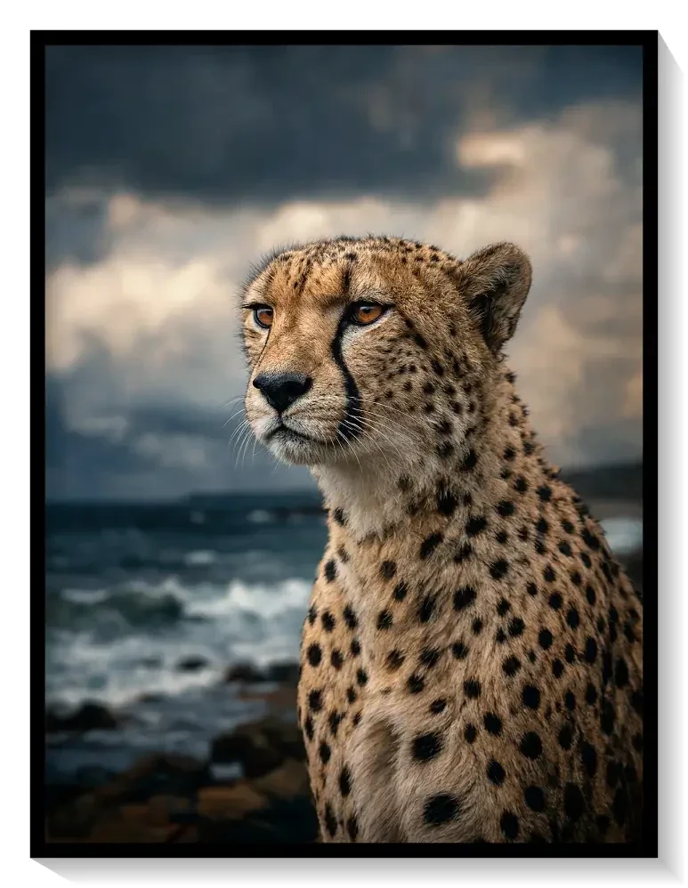 Leinwand Kunstdruck | PhotoArt