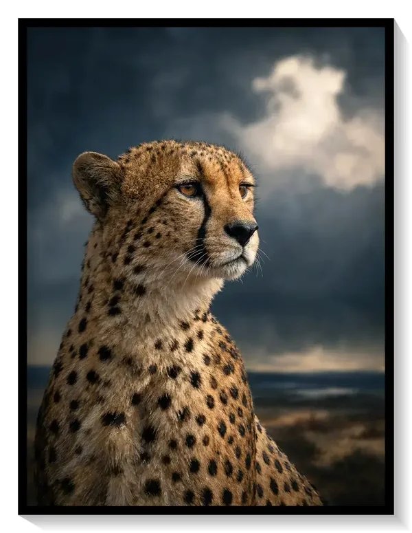 Leinwand Kunstdruck | PhotoArt
