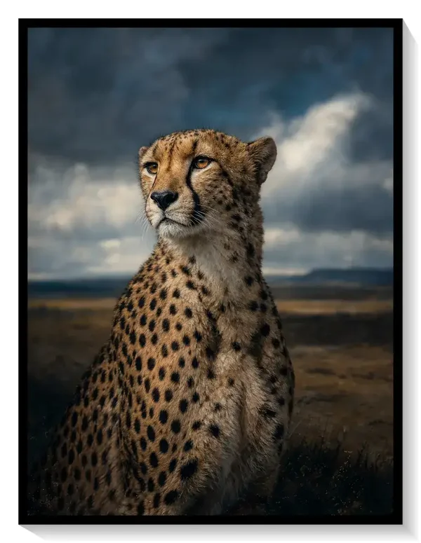 Leinwand Kunstdruck | PhotoArt
