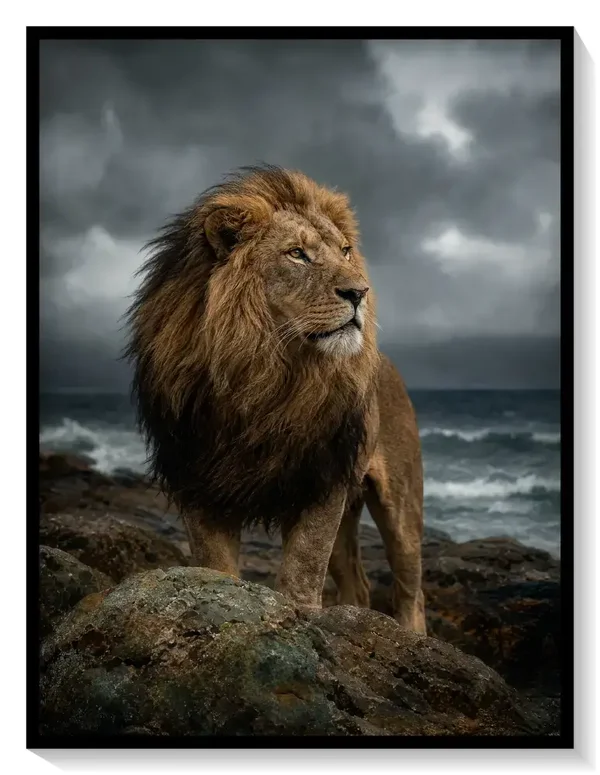 Leinwand Kunstdruck | PhotoArt