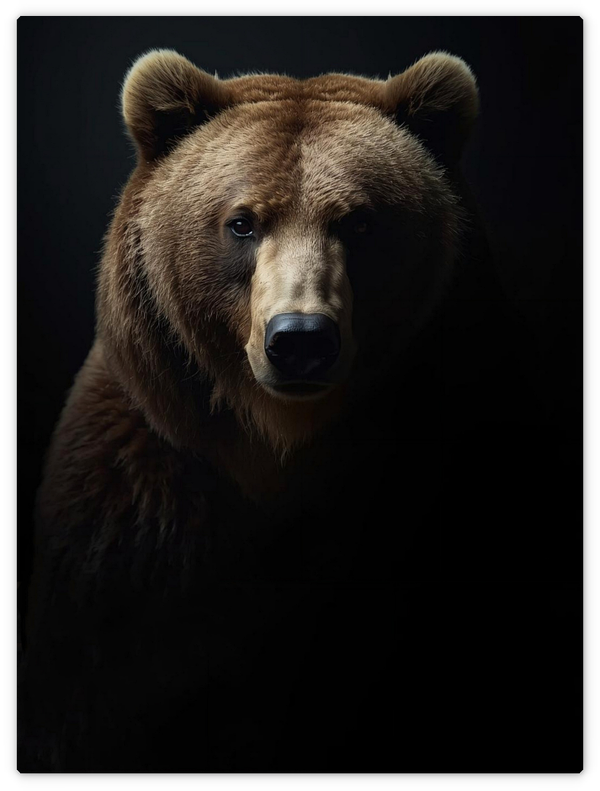 Braunbär