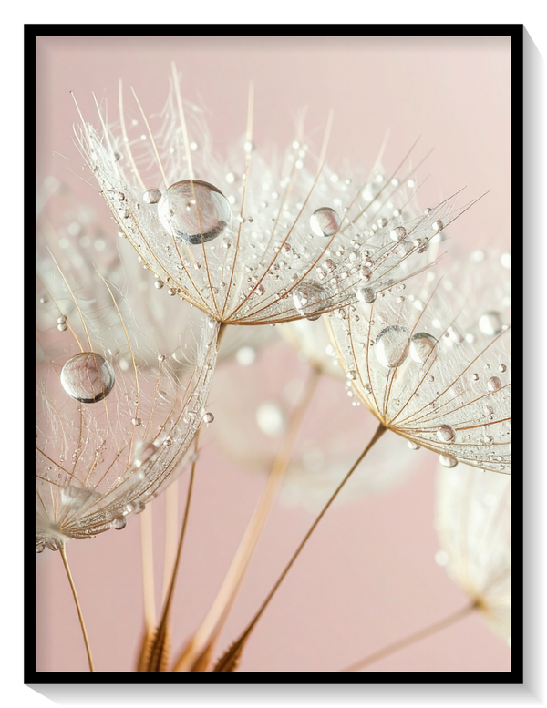 Dandelion Clock