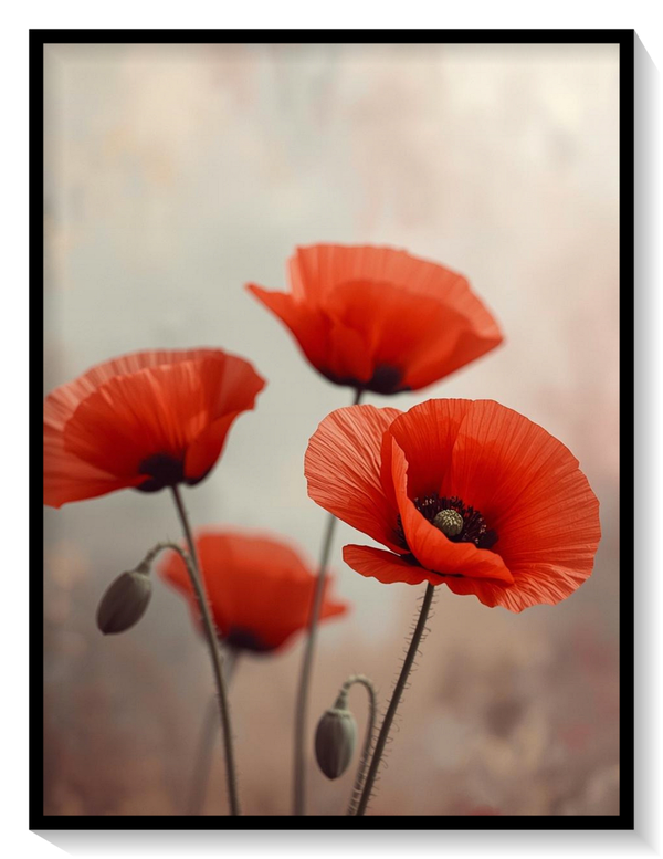 Poppies
