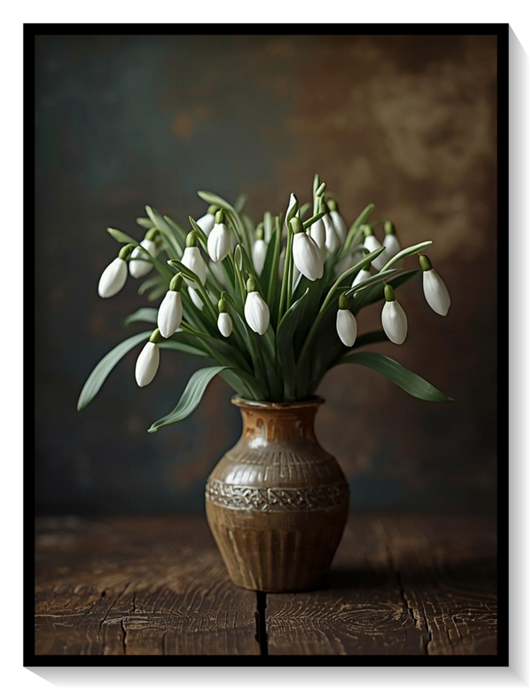 Galanthus