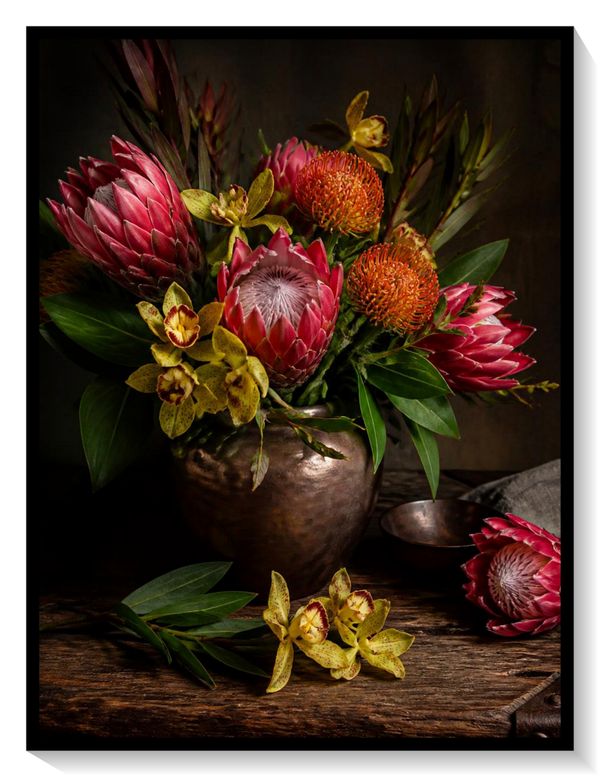 Protea Flowers
