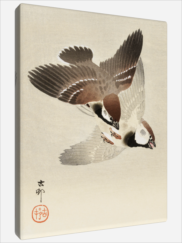 "Ring Sparrows"
