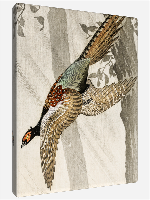 "Flying Pheasant"