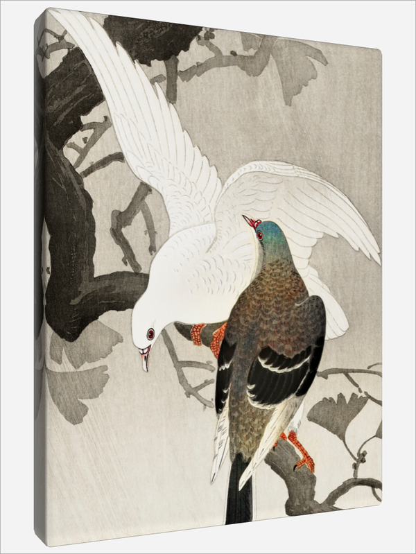 "Pigeons on a Branch"