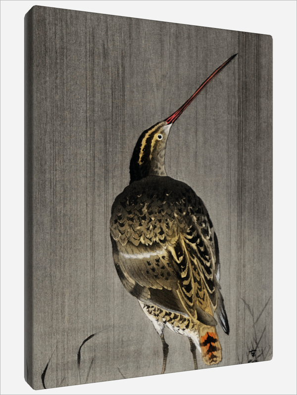 "Snipe in the Rain"