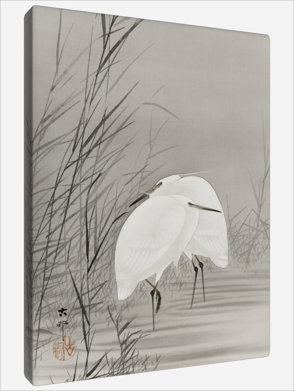 "Egrets in a Swamp"
