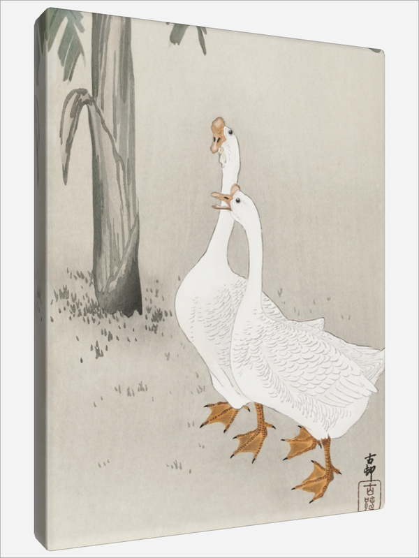"Two Geese"