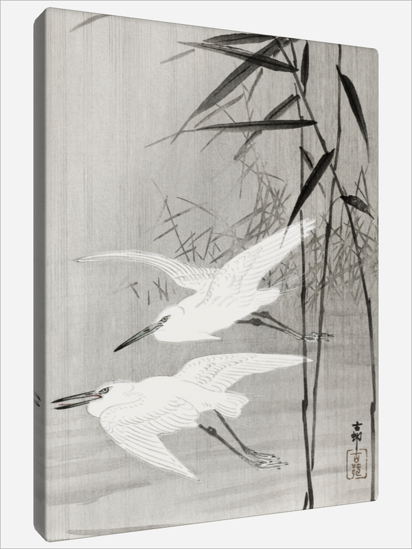 "Two Egrets in Flight"