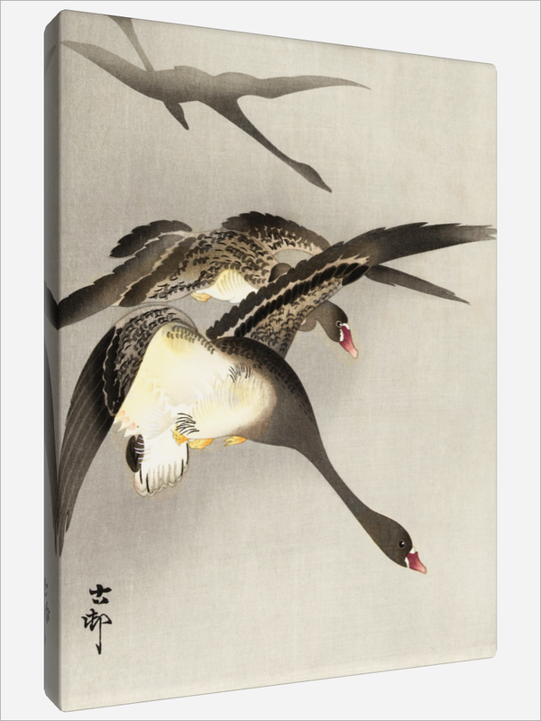 "Geese"