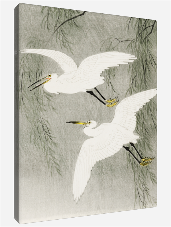 "Little Egrets in Flight"