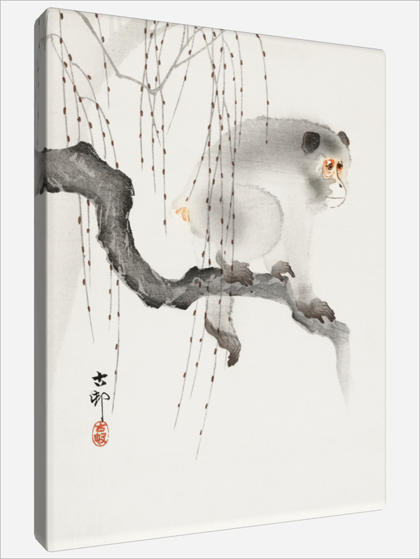 "Monkey on a tree Branch"