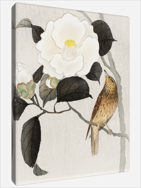 "Songbird and Flowering"