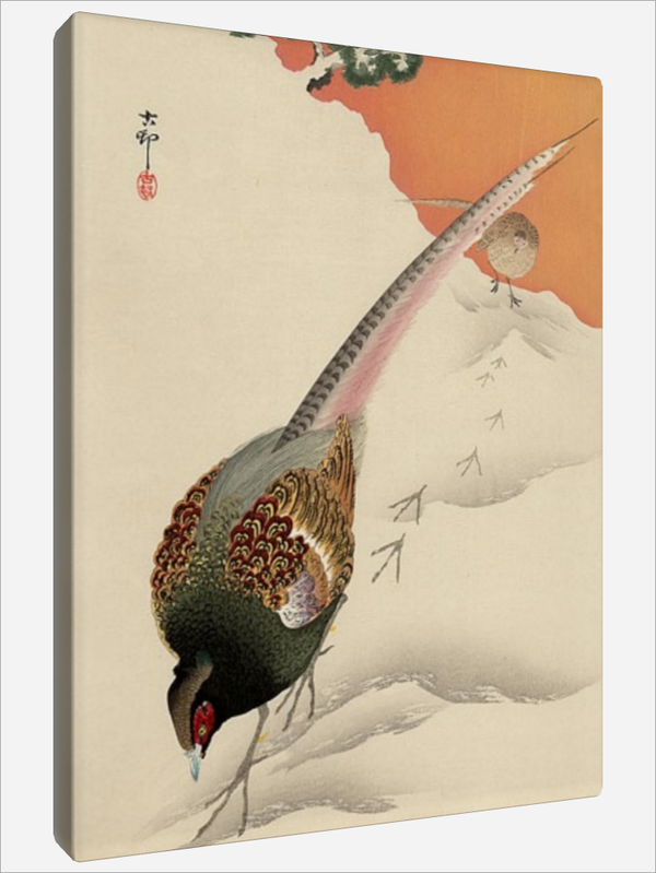 "Pheasant"