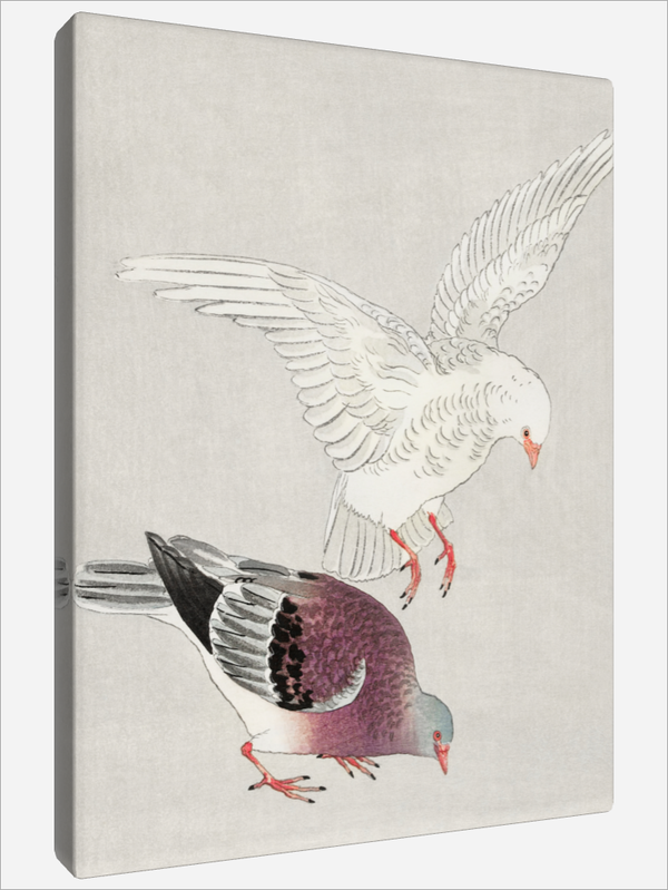 "Two Pigeons"
