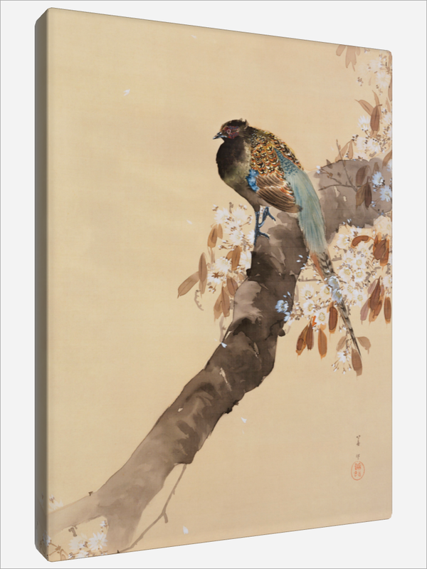 "Pheasant on Cherry Blossom"