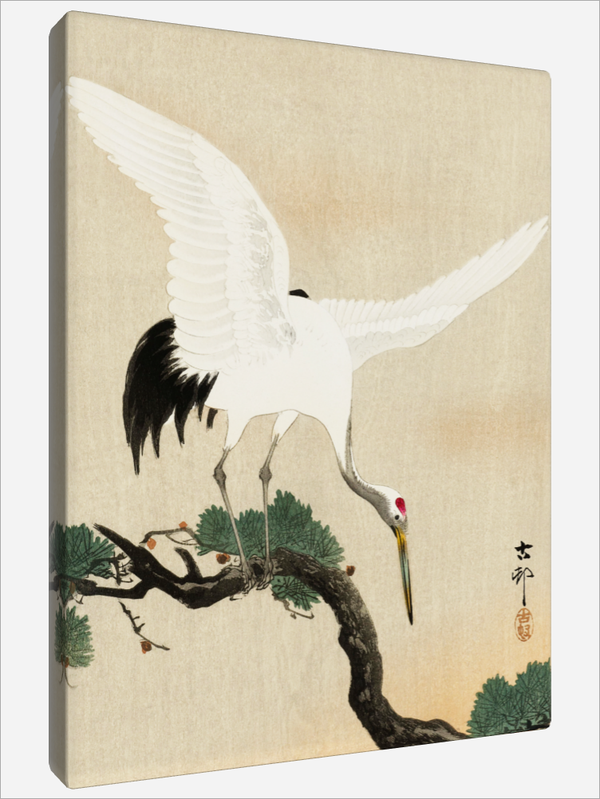 "Japanese Crane"