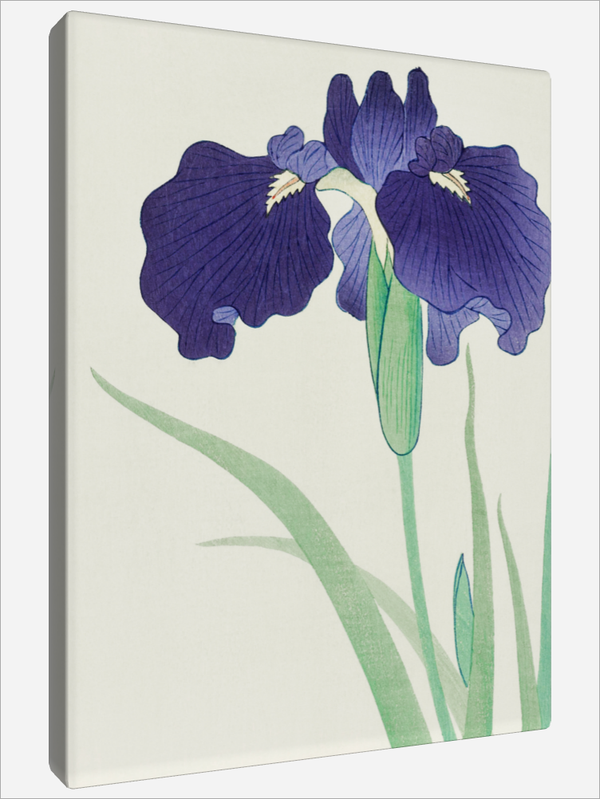 "Irises"