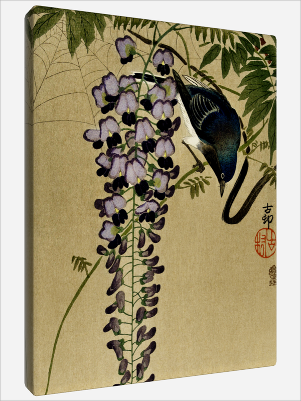 "Flycatcher at Wisteria"