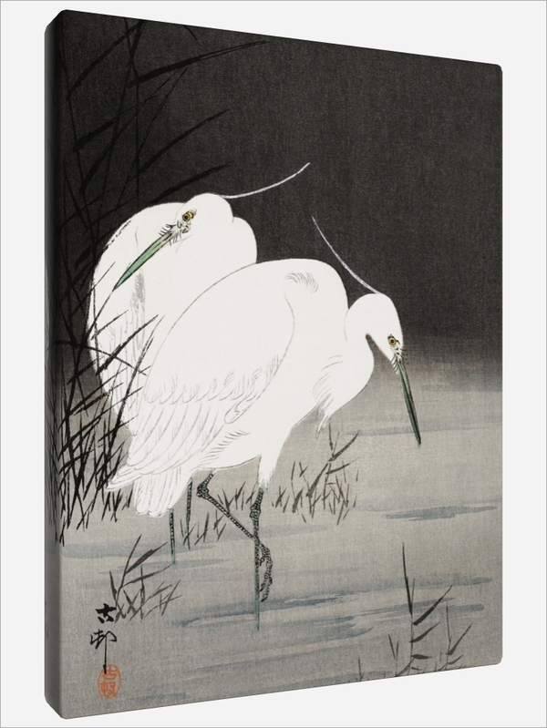 "Two Egrets in the Reeds"