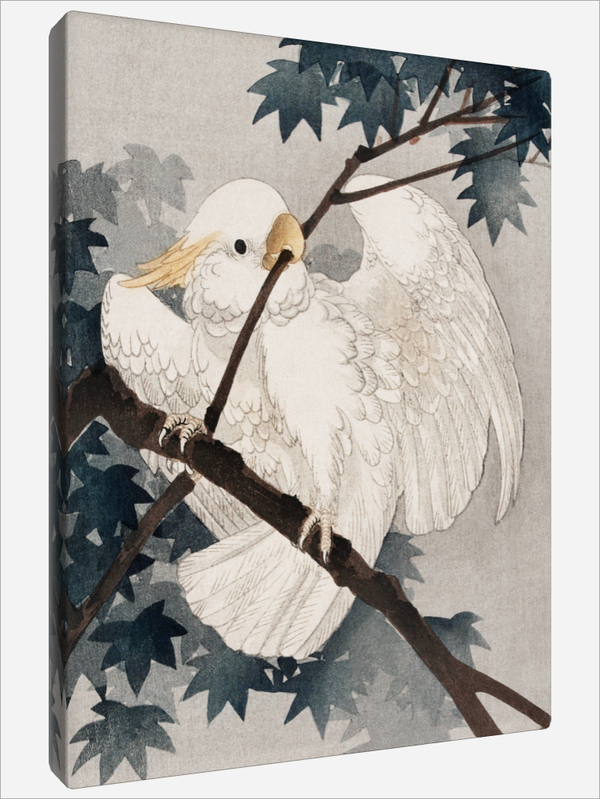 "Yellow Cockatoo"