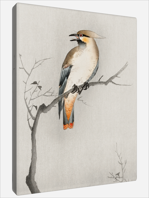 "Japanese Bird"
