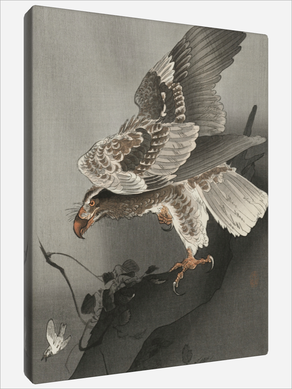 "Eagle lurking at a Prey"