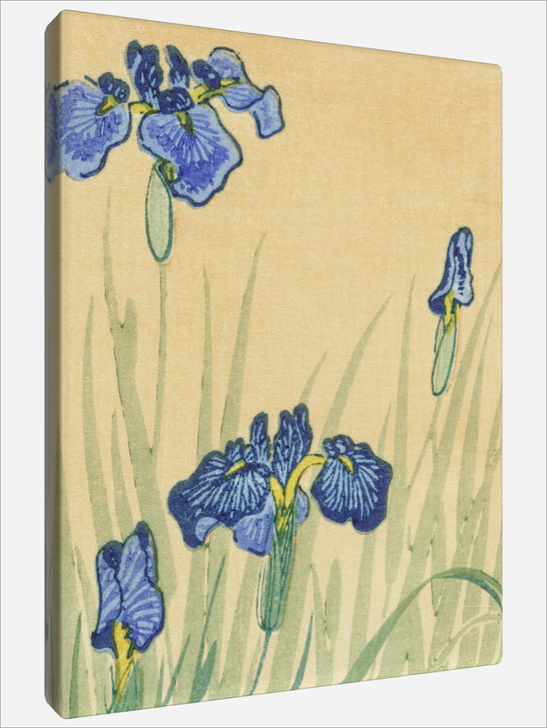 "Flowers"