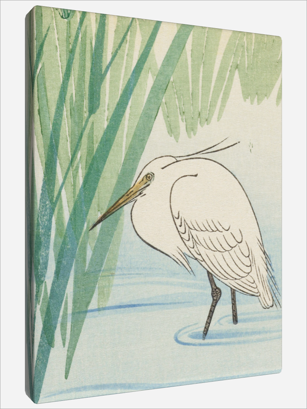 "Egret"