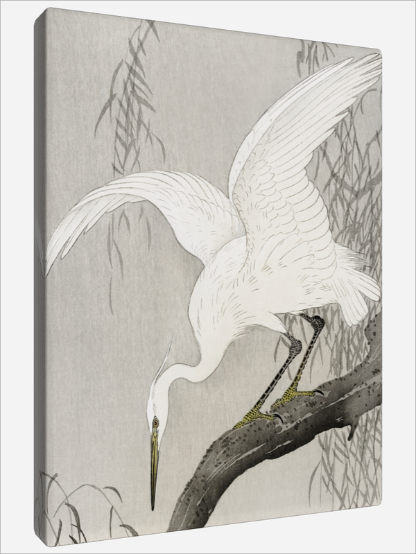 "White Heron"