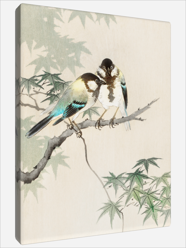 "Great Tits on Maple Branch"