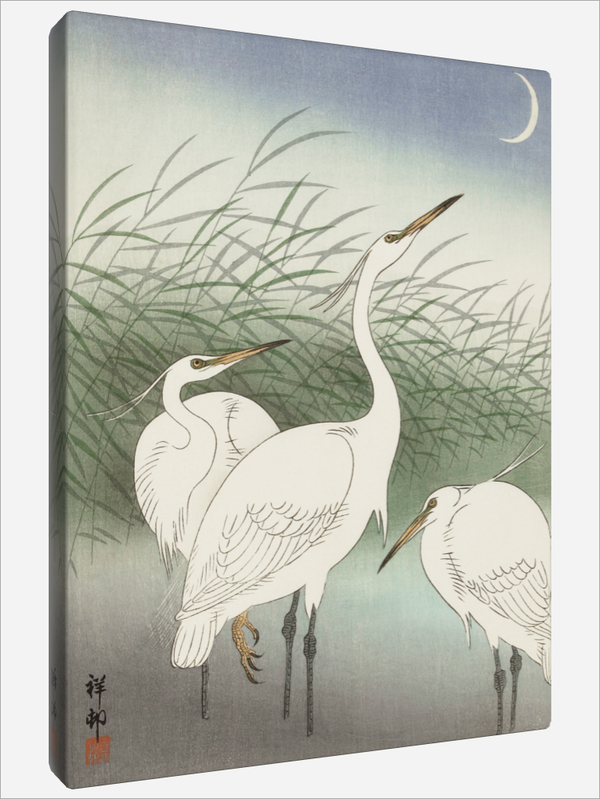 "Herons in Shallow Water"