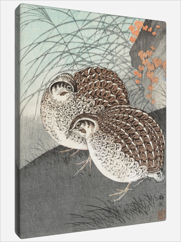"Two Quails"