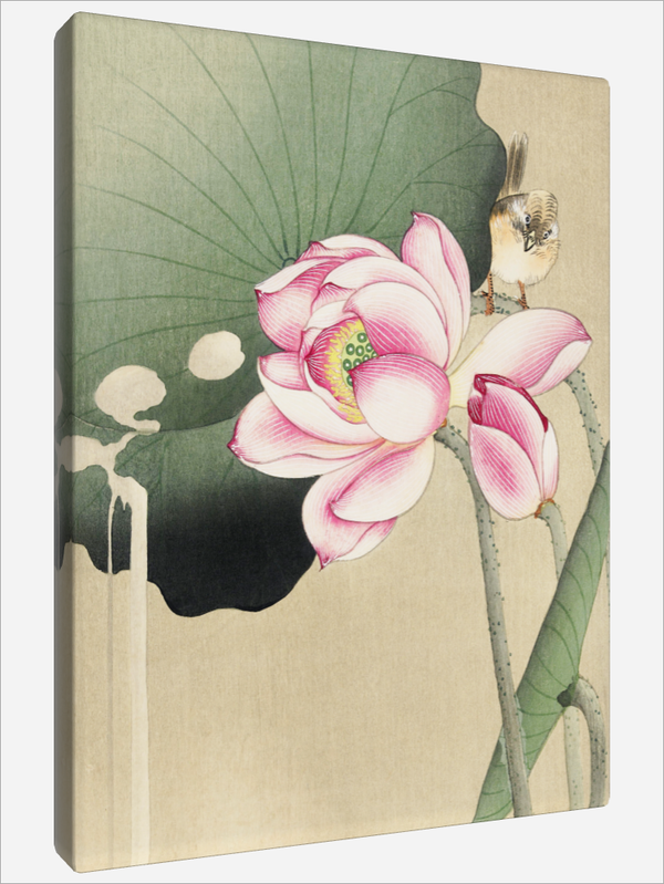 "Songbird and Lotus"