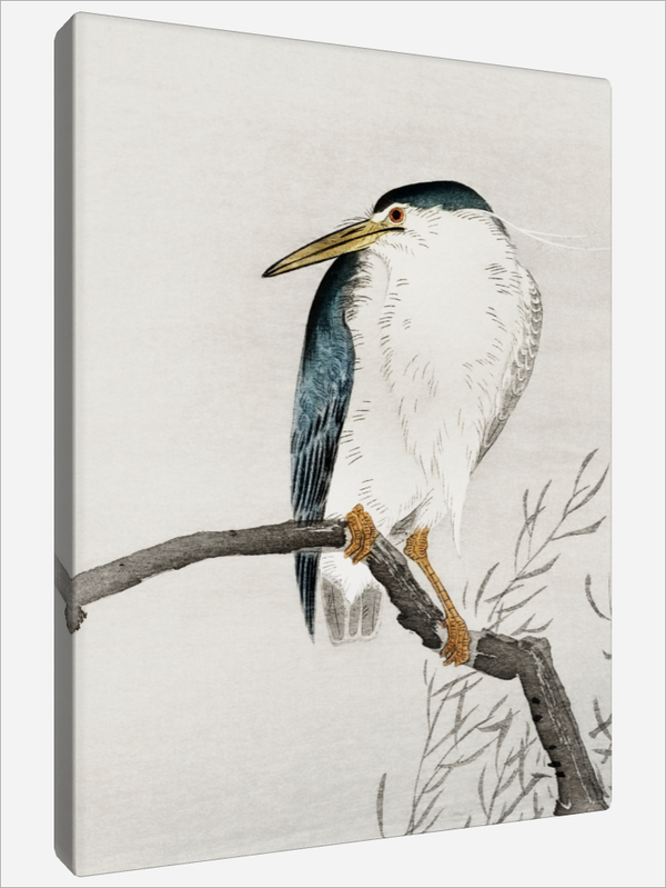 "Quack on Erratic Branch"