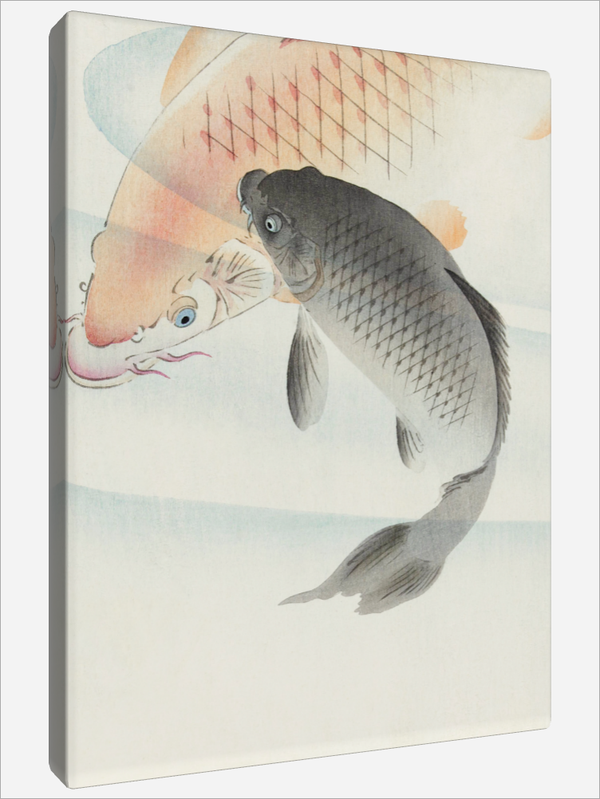 "Two Carp"