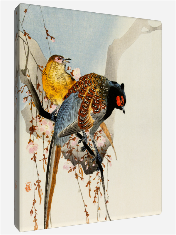 "Pheasant Couple"
