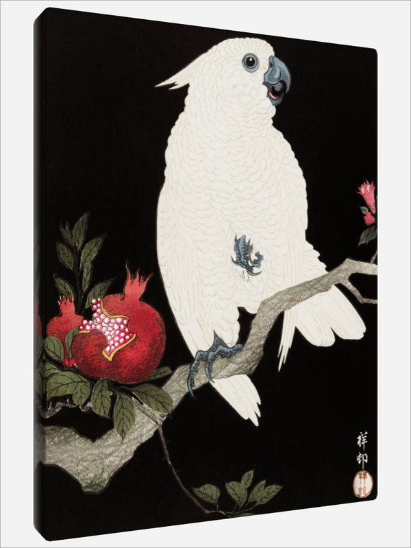 "Cockatoo and Pomegranate"