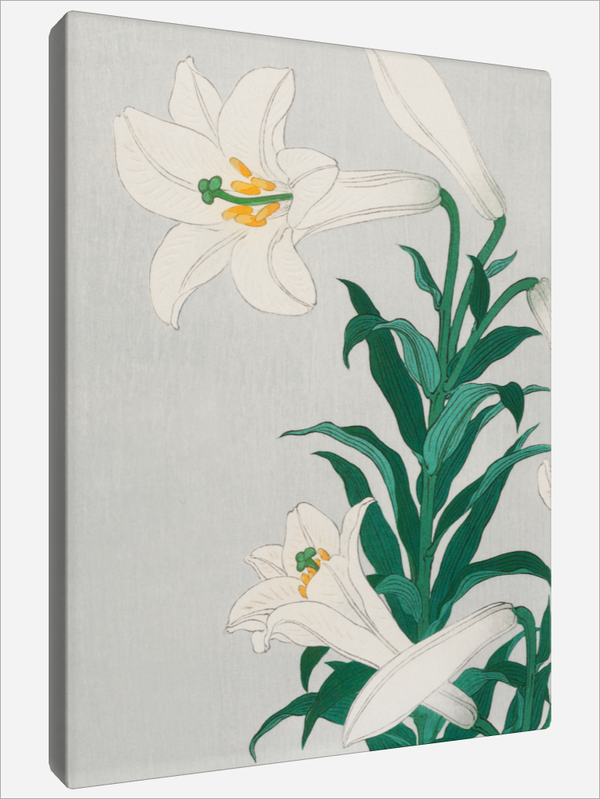 "Lilies"