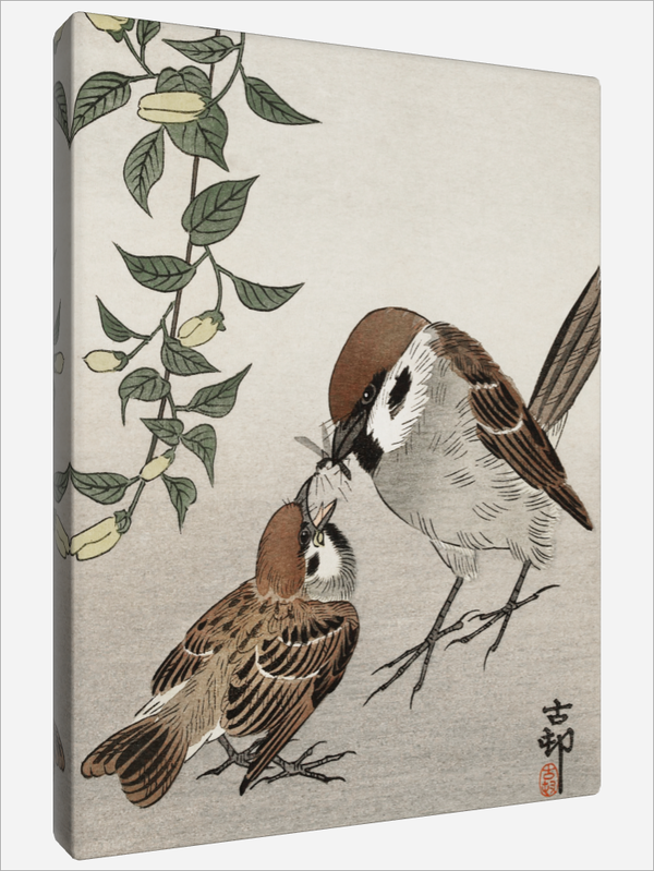 "Birds and Plants"