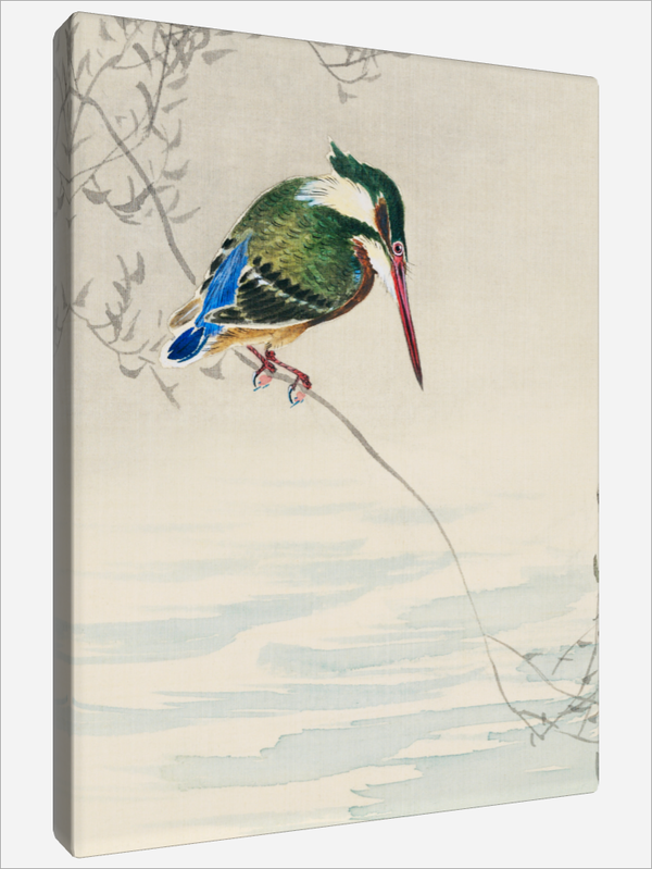 "A Kingfisher"