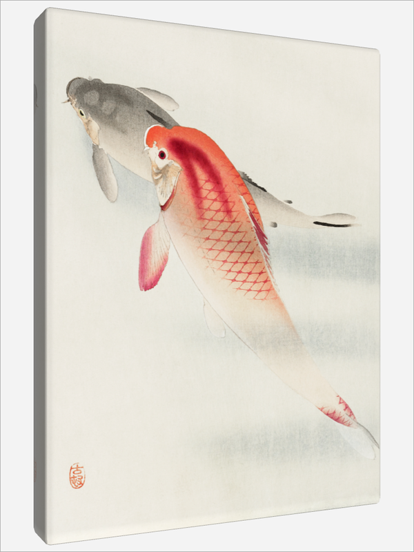 "Two Carp"