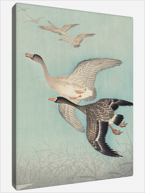 "Great Geese in Flight"